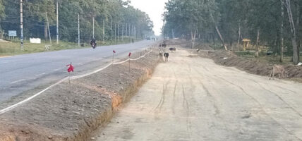 नारायणगढ–बुटवल सडक विस्तारले मासिए वरपिपलका चौतारा, भत्किए प्रतीक्षालय