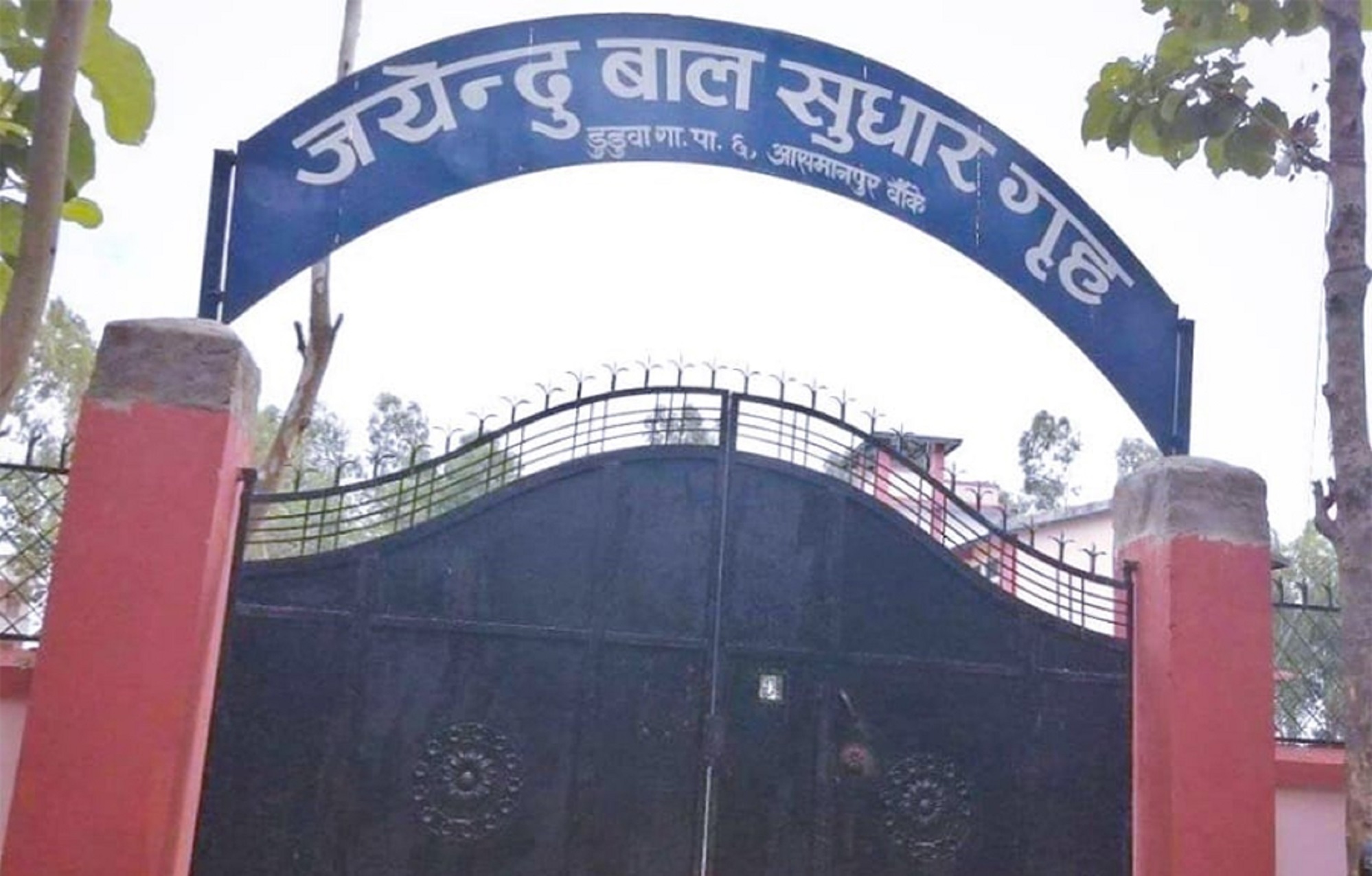 image image