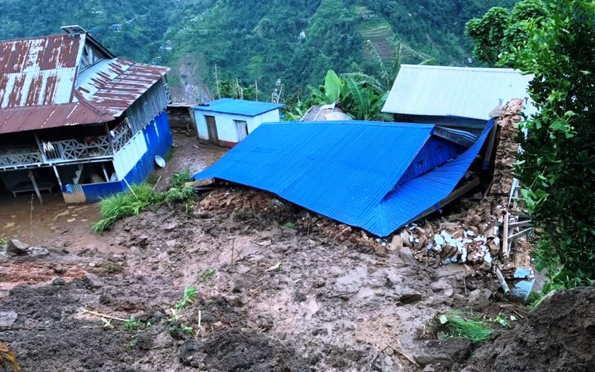 ताप्लेजुङको सिदिङबामा पहिरोले घर पुरिँदा चार जना घाइते, एक गम्भीर