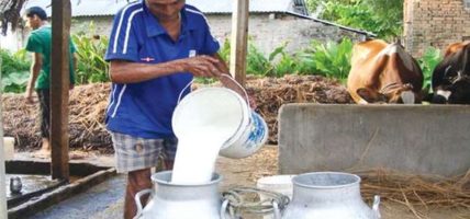 किसानले बिक्री गर्ने दूधमा नगरपालिकाले दिन थाल्यो प्रतिलिटर १० रुपैयाँ अनुदान