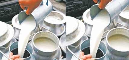 मकवानपुरका दुग्ध किसानको १४ करोड बक्यौता संकटमा