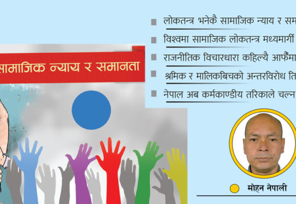 सामाजिक लोकतन्त्रका मानक